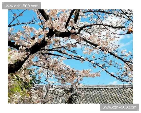 樱花落入人鱼港：当日本遇上丹麦，一场跨越万里的灵魂共振